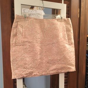 Anthropologie HD in Paris skirt small 2-4 blush